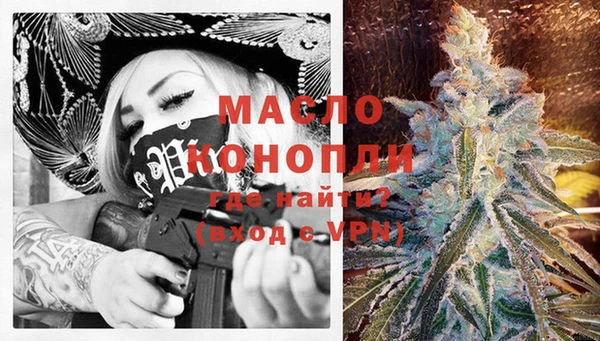 соль ск Туринск