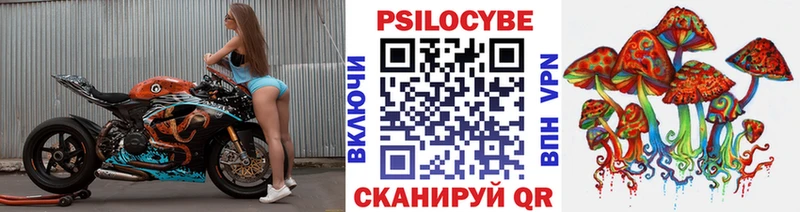 Купить где  Тарко-Сале  Галлюциногенные грибы GOLDEN TEACHER 